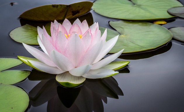 Photo of Common Ground Meditation Center