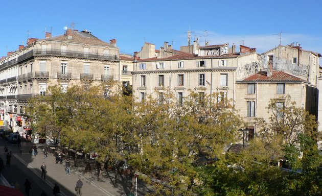 Photo de Censeo Patrimoine