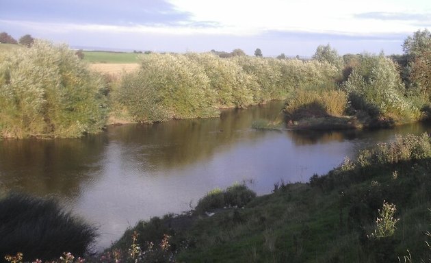 Photo of Polo Pond