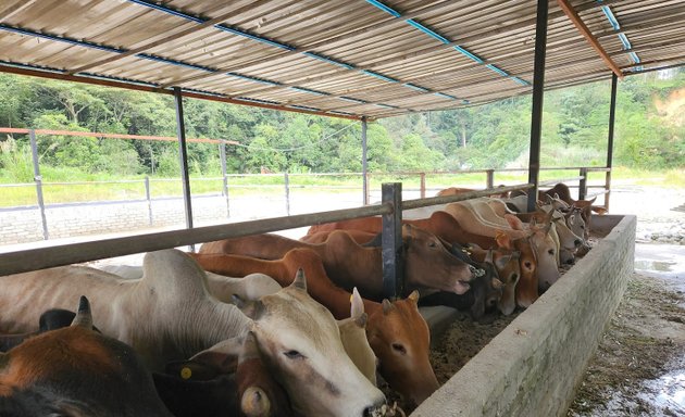 Photo of Mazroah Farm @ Hulu Langat