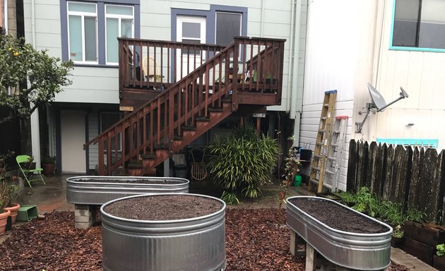 Photo of Wild SF Gardening