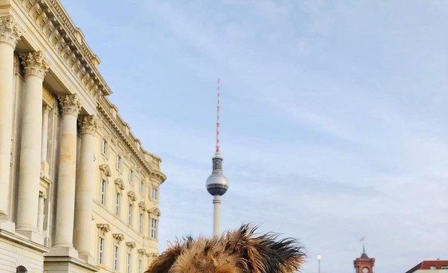 Foto von Rother & Schulz - Training, Ausbildung, Sachkunde