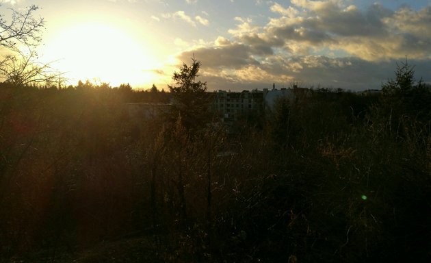 Foto von Volksparkstadion Mariendorf