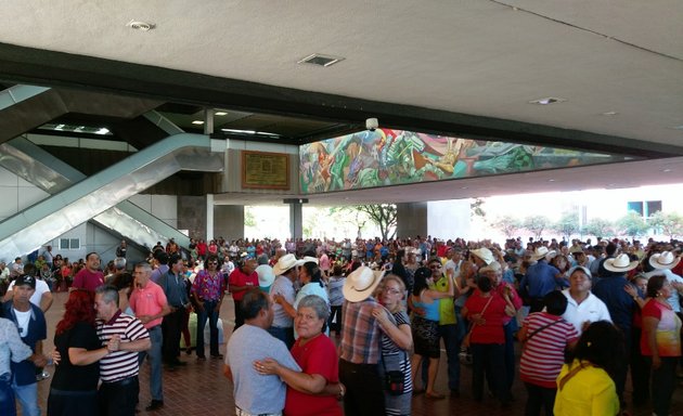 Foto de Palacio Municipal Ayuntamiento de Monterrey