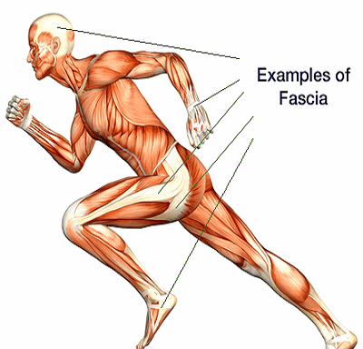 Photo of F&W Neuromuscular Therapy