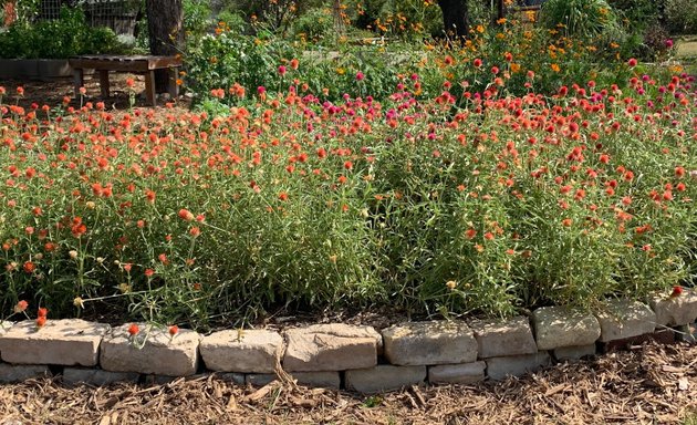 Photo of Mahncke Park Community Garden