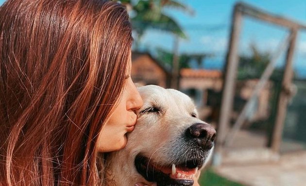 Foto de Cachorros.pe