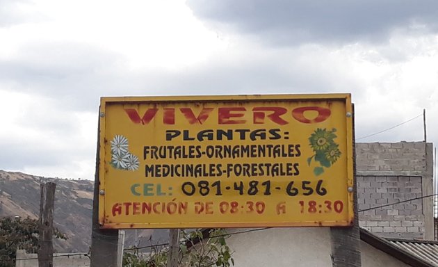 Foto de Vivero