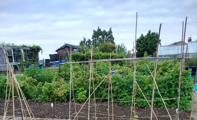 Photo of Beighton Allotments / Orchard Lane (Private)