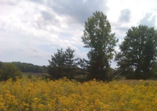 Photo of Greenbelt Native Plant Center