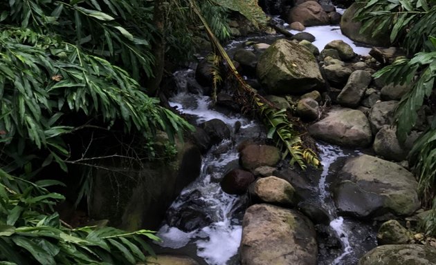 Foto de Ecoparque Los Alcazares Arenillo