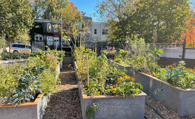 Photo of Aberdeen Street Community Garden