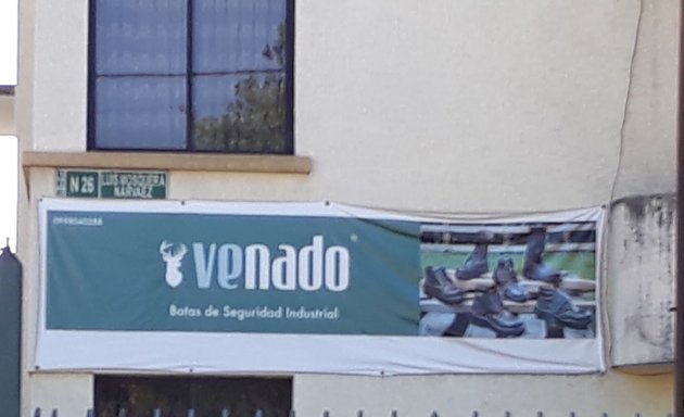 Foto de Venado