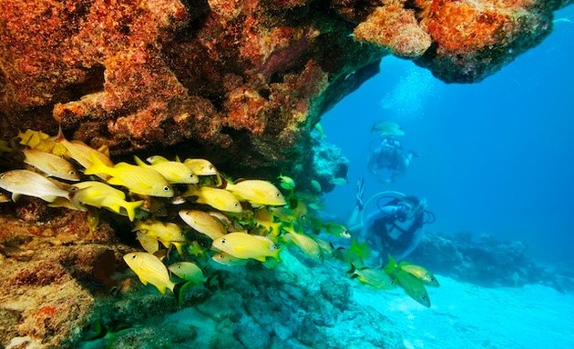 Foto von The Florida Keys & Key West