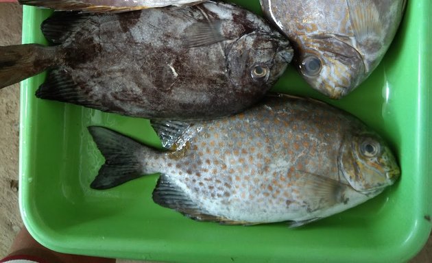 Photo of Sohayb's Fresh fish