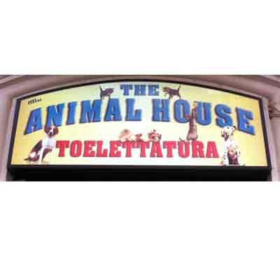 foto The Animal House