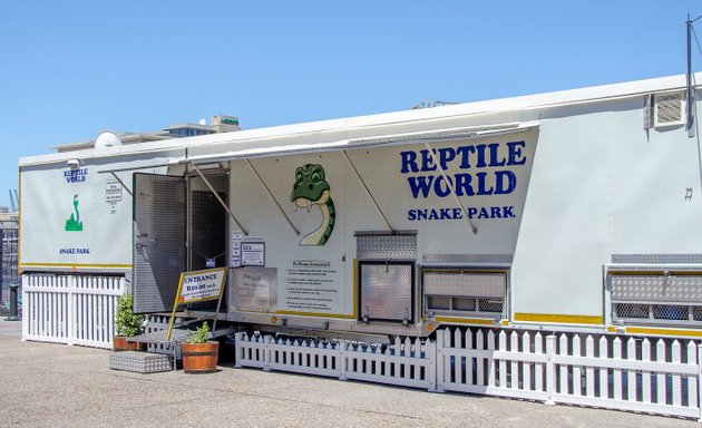 Photo of Reptile World