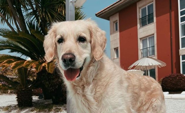 Foto de Cachorros.pe