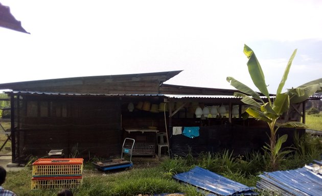 Photo of ANZ AGRO FARM VENTURE Ayam Kampung