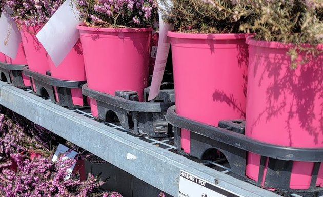 Photo of Garden Centre at The Home Depot