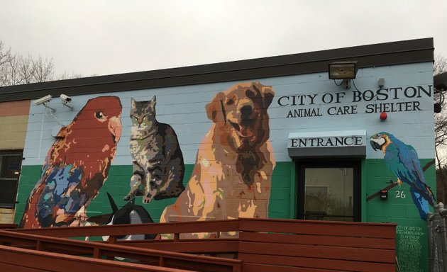 Photo of Boston Animal Care and Control Shelter