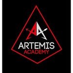 Photo of Artemis Academy