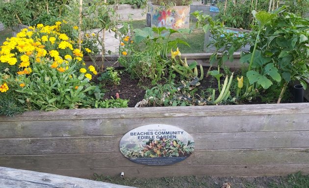 Photo of Beach Community Edible Garden