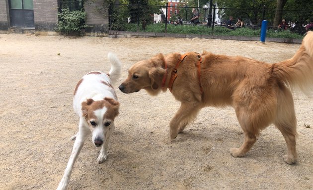 Photo of Washington Square Park