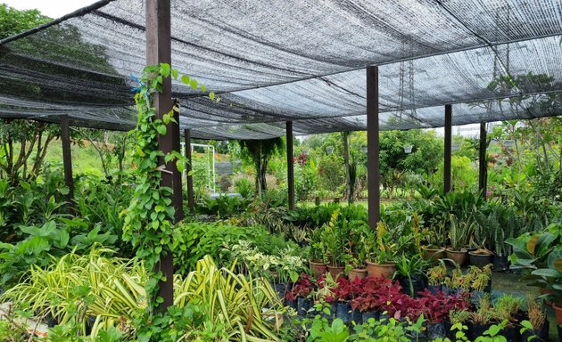 Photo of Landscape And Nursery