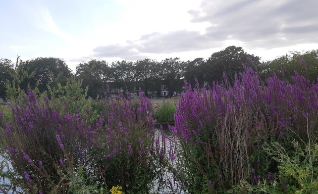 Photo of Centre Road Car Park, Wanstead Flats