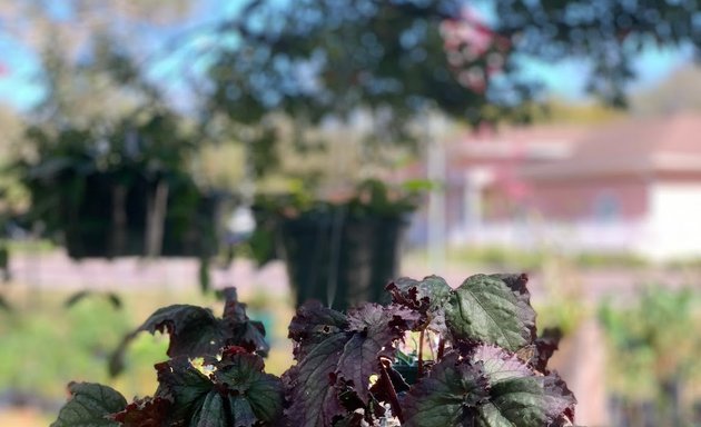 Photo of Faye's Place Plant Nursery