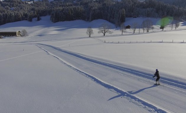 Photo of space dogs ski club