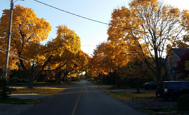 Photo of Islington Heights Park