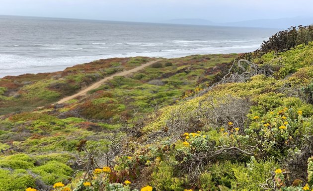 Photo of Fort Funston Southern Parking Lot