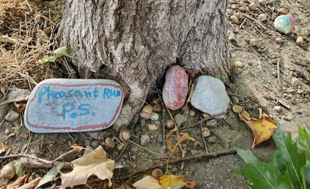 Photo of Forest of painted rocks