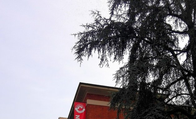 foto Canadian School of Milan