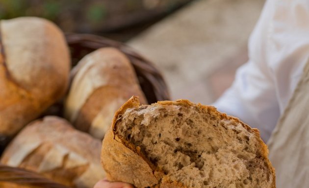 foto Tibó Boulangerie