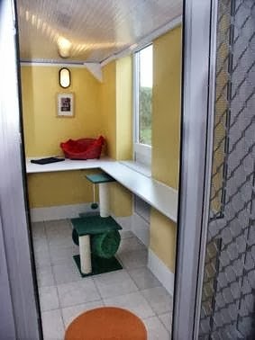 Photo of Little Lever Cattery