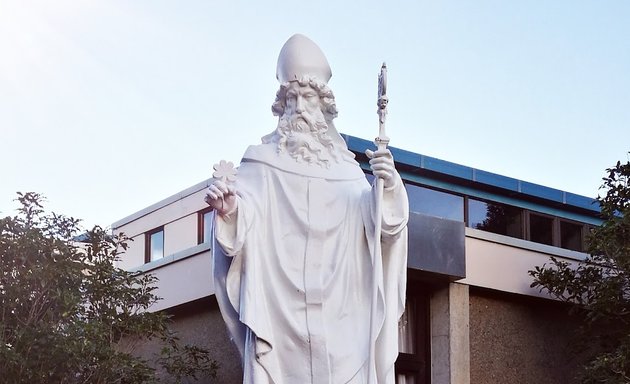 Photo of St Patrick's College