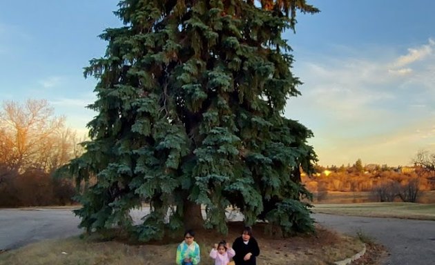 Photo of Saskatoon Sanatorium Site