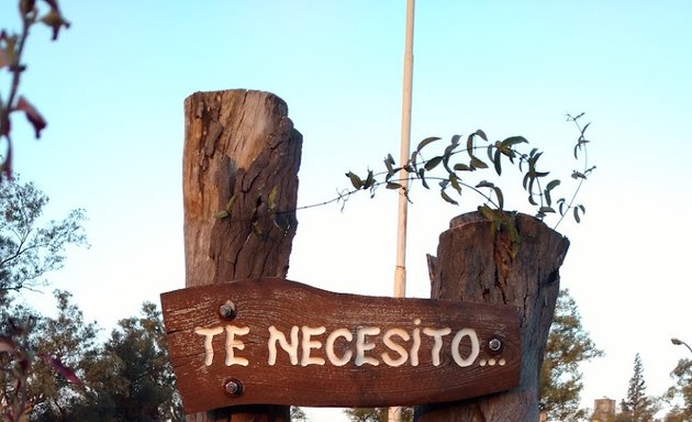 Foto de El Bosque Nativo UNC