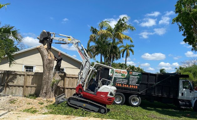Photo of Spider-Man Tree services