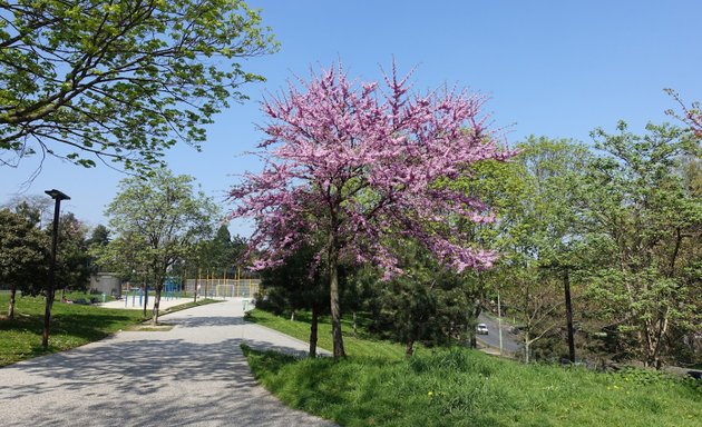 Photo de Promenade Amalia Rodrigues