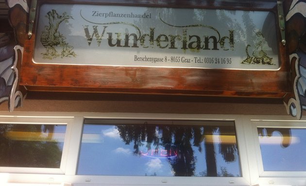 Foto von "Wunderland Hanfpflanzen & hanfstecklinge Österreich"
