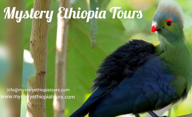 Photo of Mystery Ethiopia Tours