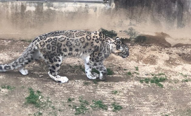 写真 円形猛獣舎