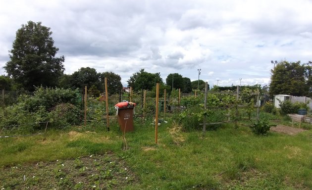 Photo of Perretts Field Allotments