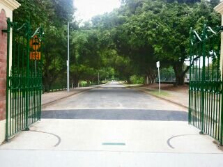 Photo of Yeronga Memorial Park