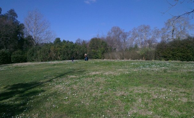 Photo de Parc de la Maison Blanche