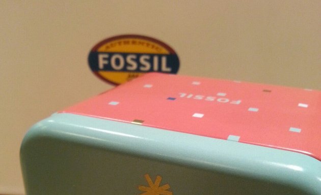 Photo de Fossil